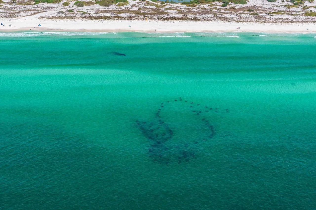 Surfin' Turtle Vila Santa Rosa Beach Exterior foto